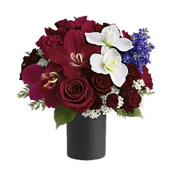 Crimson Blossom Harmony