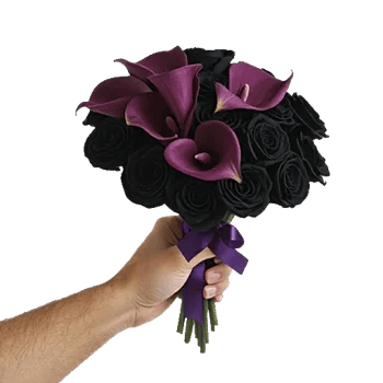 Elegant Calla Lilies