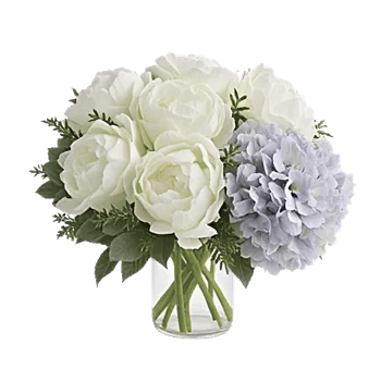 Petal Radiance Bliss