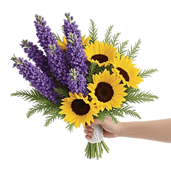 Blossom Harmony Display