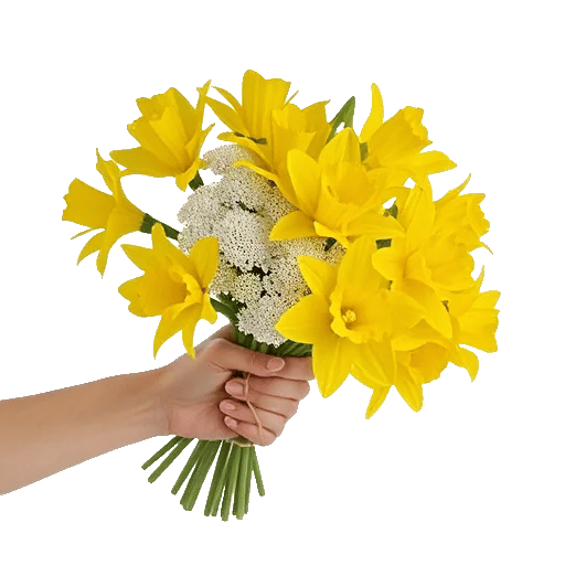 Crisp Spring Blooms