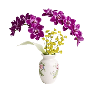 Orchid Bloom Cascade