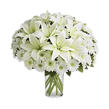Frosted Lily Spread