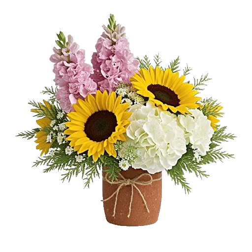 Amber Sunflower Glow