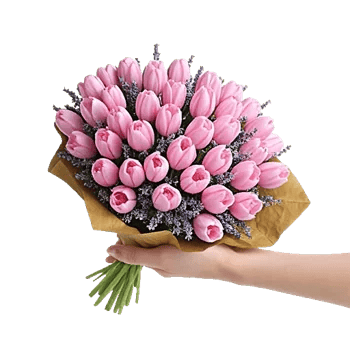 Blossom Harmony Display