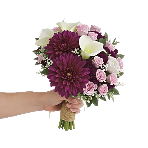 Pastel Blossom Grace