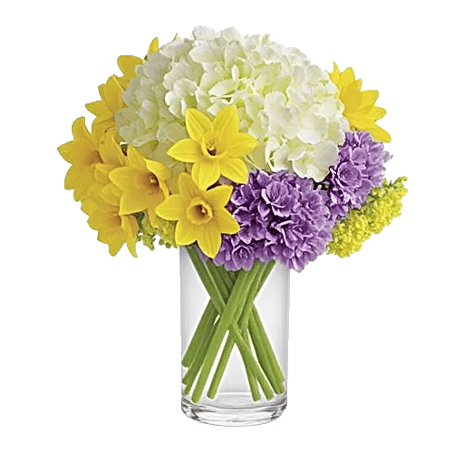 Ivory Blossom Radiance