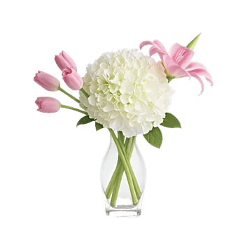 Ivory Blossom Radiance