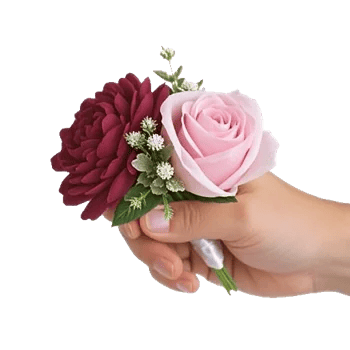 Plum Blossom Radiance