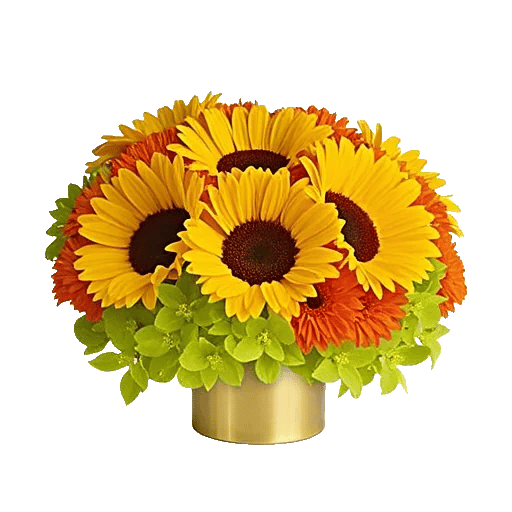 Radiant Bloom Cascade