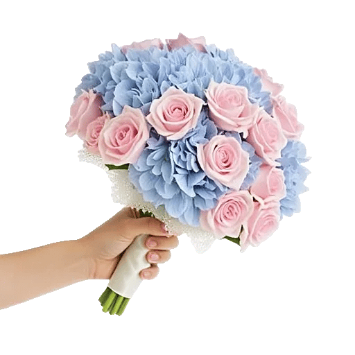Serene Petal Harmony