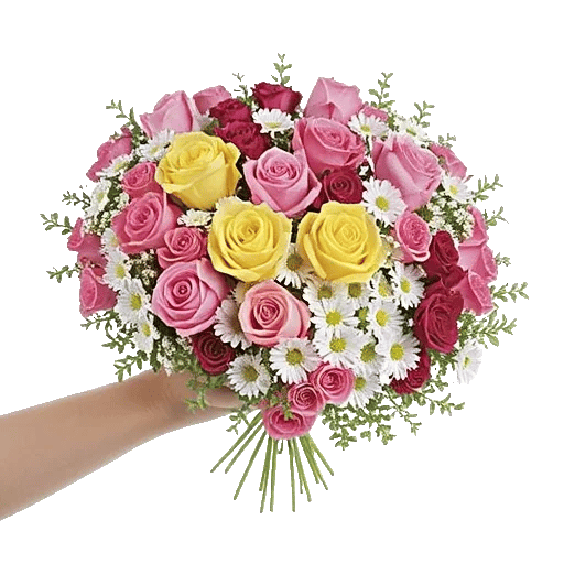 Peony Petal Harmony