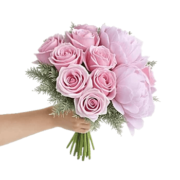 Pastel Pink Roses