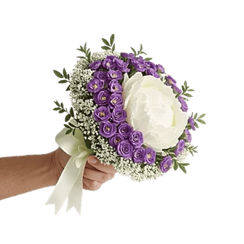 Ivory Blossom Radiance