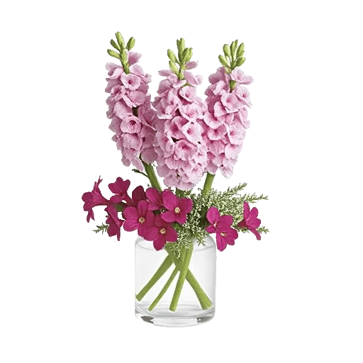 Lavender Bloom Grace