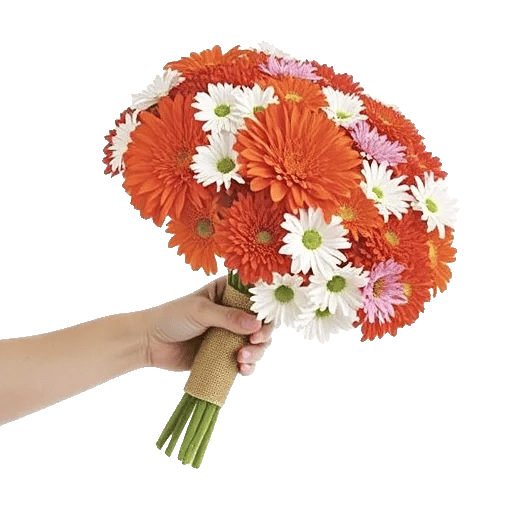 Radiant Bloom Cascade