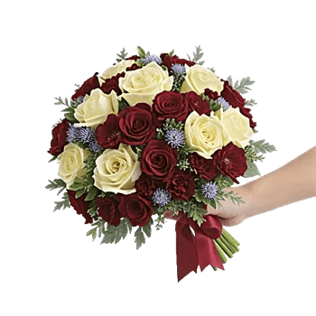 Crimson Rose Elegance
