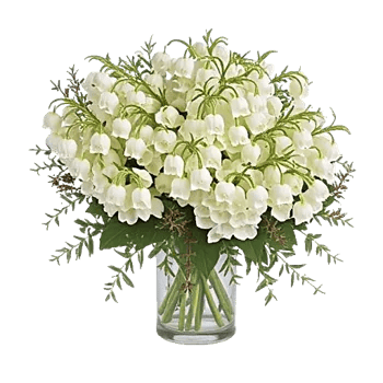 Ivory Blossom Radiance
