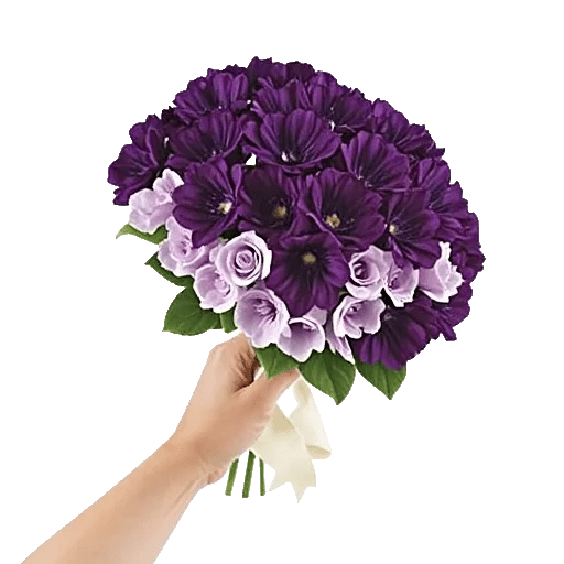 Petal Softness Display