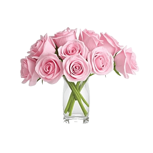 Blushing Rose Symphony