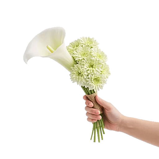 Elegant Calla Lilies