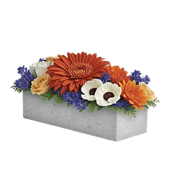 Radiant Bloom Cascade
