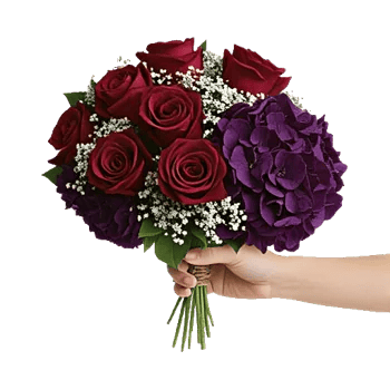 Crimson Rose Elegance