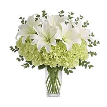 Graceful Lily Display