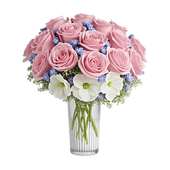 Pink Pastel Roses