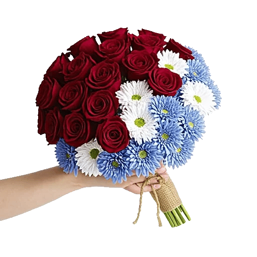 Crimson Rose Elegance