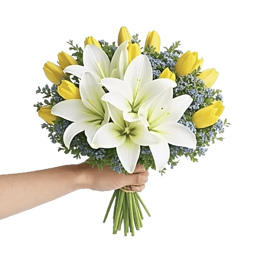 Blossom Harmony Display