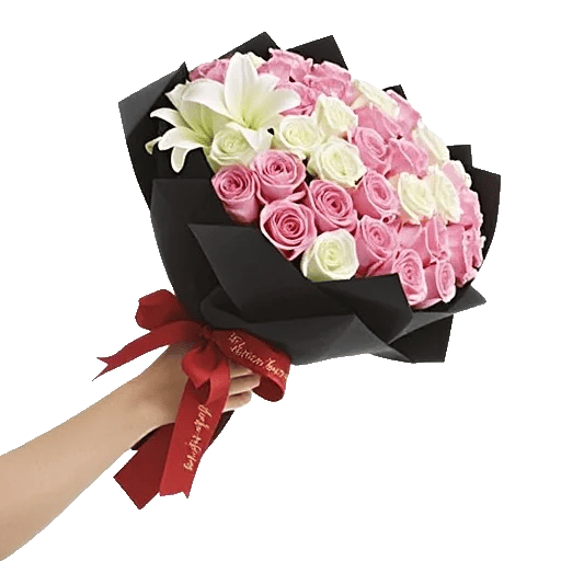 Crimson Rose Elegance