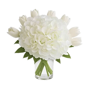 Ivory Blossom Radiance