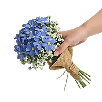 Blossom Petal Serenity