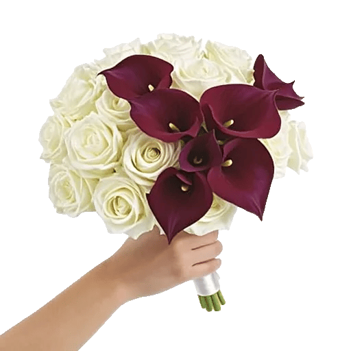 Elegant Calla Lilies