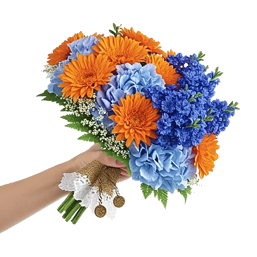 Blossom Petal Serenity