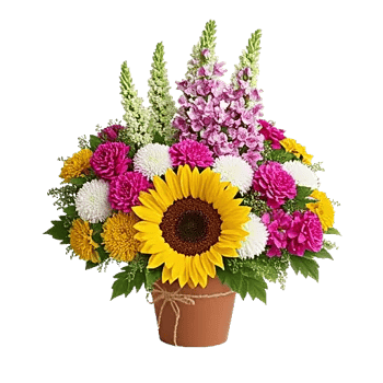 Amber Sunflower Glow