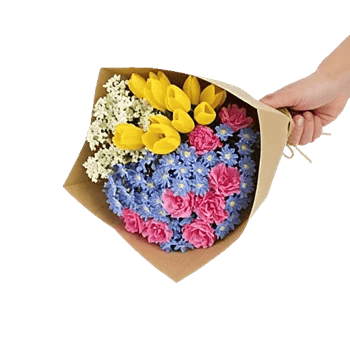 Blossom Petal Serenity