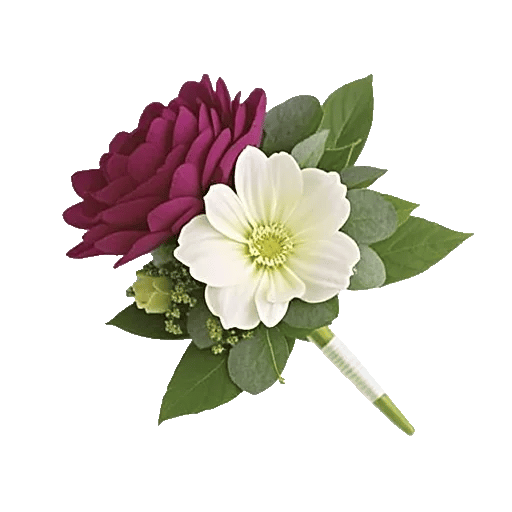 Plum Blossom Radiance