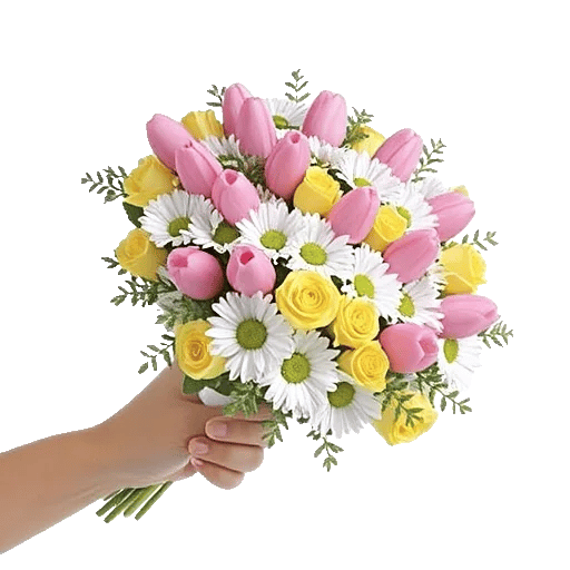 Blossom Harmony Display