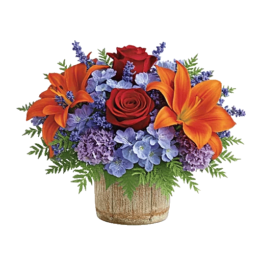 Petal Radiance Bliss