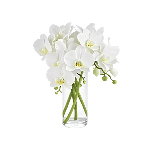 Orchid Bloom Cascade
