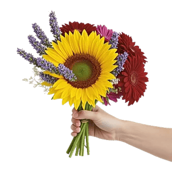 Twinkling Sunflower Dance