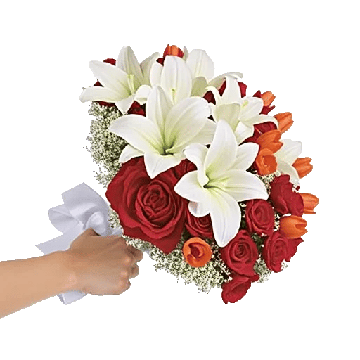 Blushing Rose Symphony