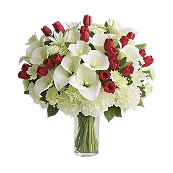Elegant Calla Lilies
