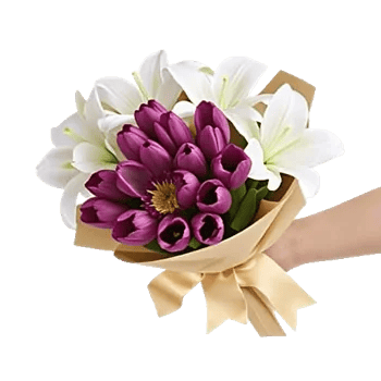 Velvet Tulip Display