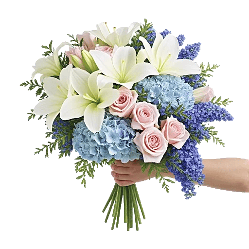 Serene Petal Harmony