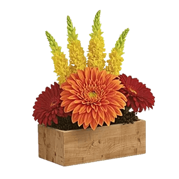 Radiant Bloom Cascade