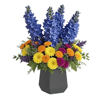 Serenity Blossom Grace