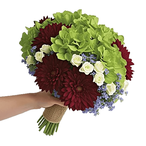 Serene Petal Harmony